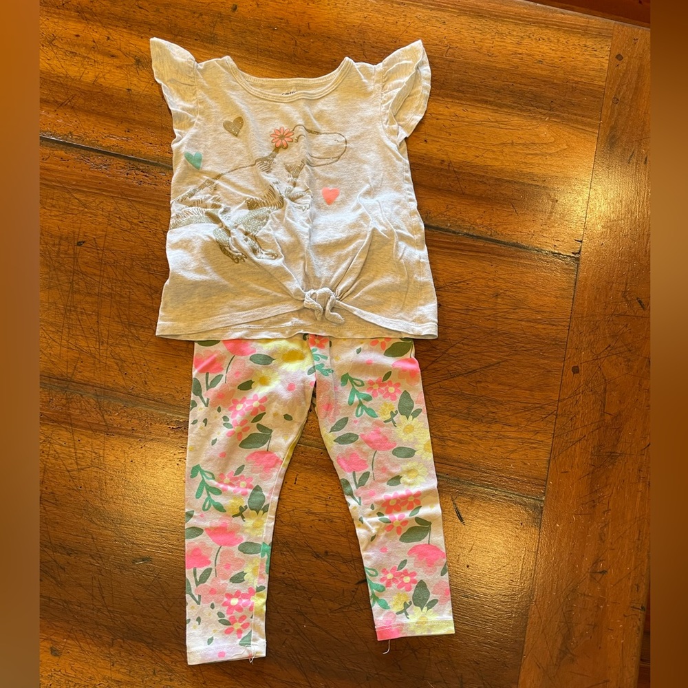 Toddler dinosaur Top and floral Bottom Bundle 2-3T